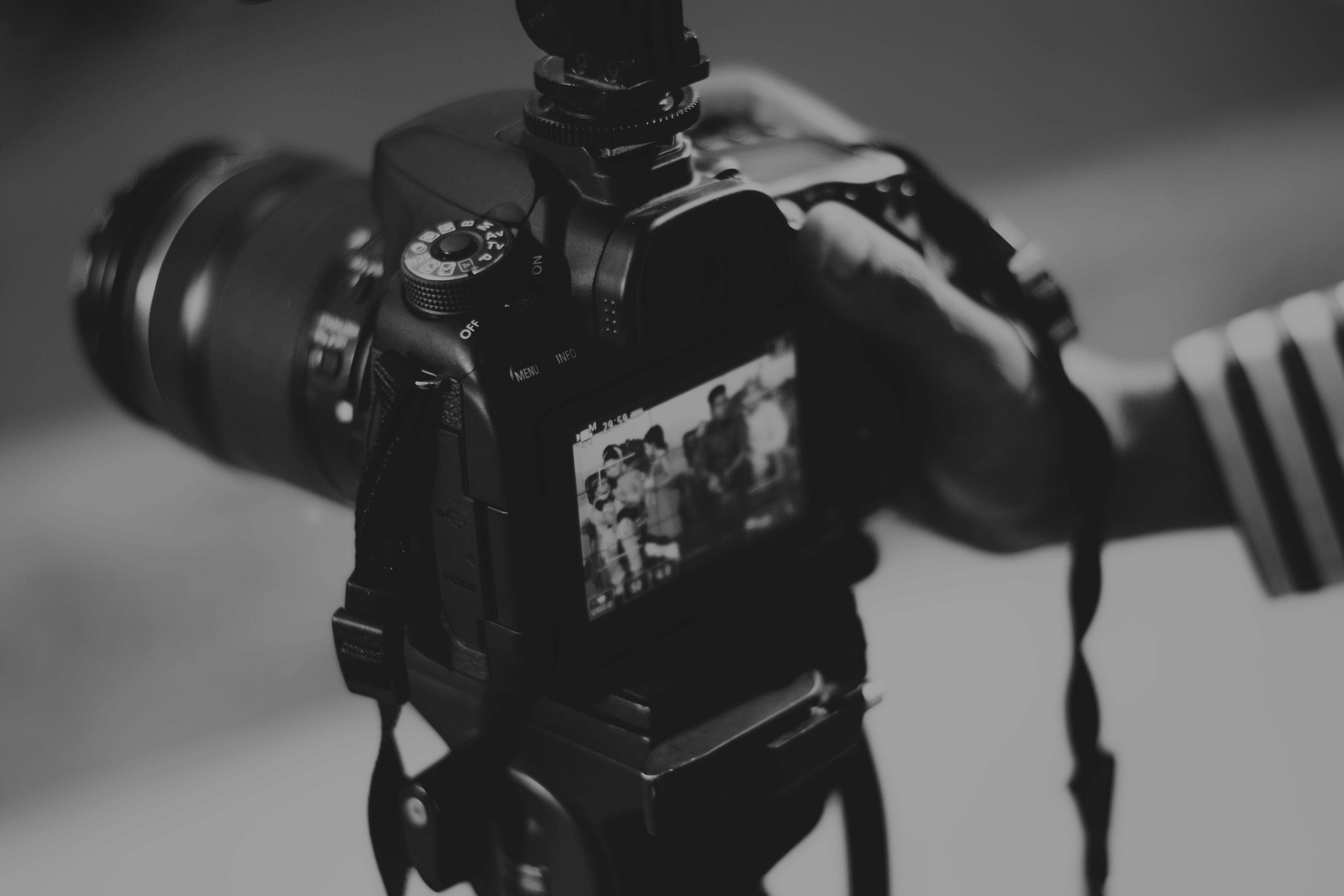 Professional Photography Services